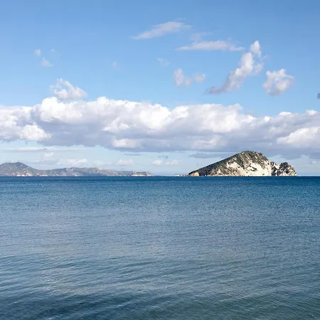 Апартаменты Dolphin 5