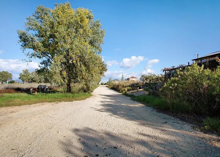 Dolphin 5 Apartamento