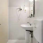 Dolphin 5