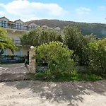 Dolphin 5 *